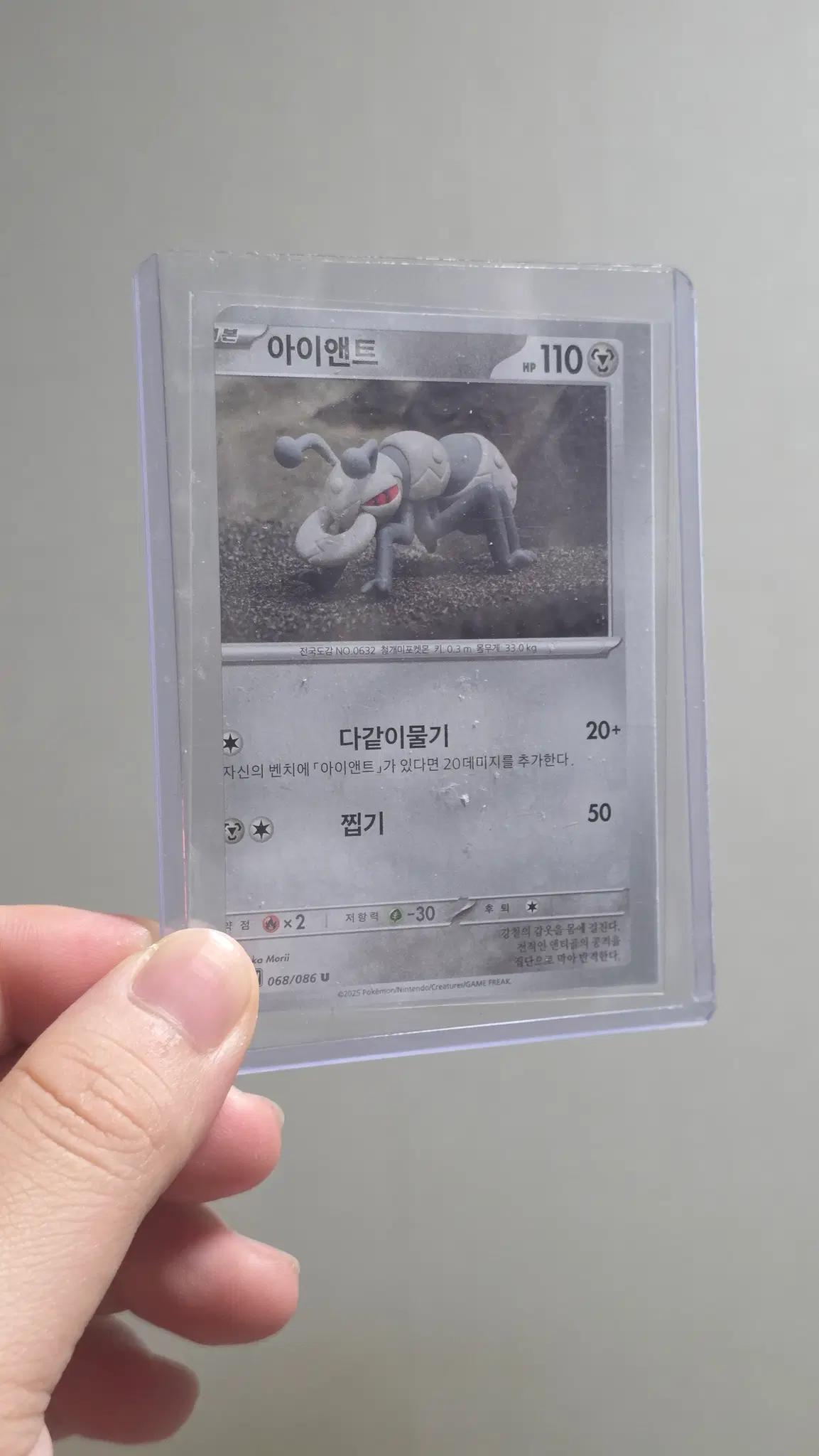 포켓몬 에러/오류 카드
