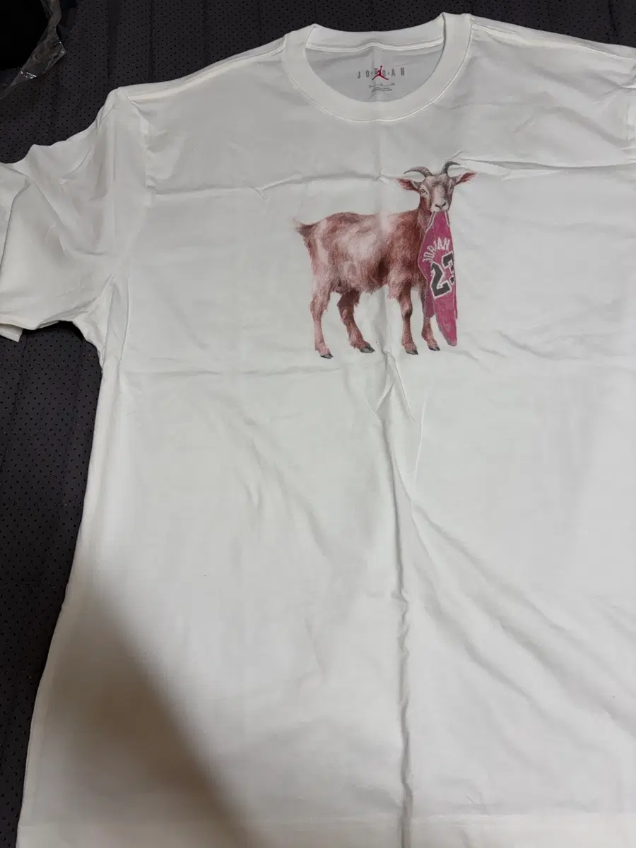 나이키 조던 고트 goat 반팔 티셔츠
