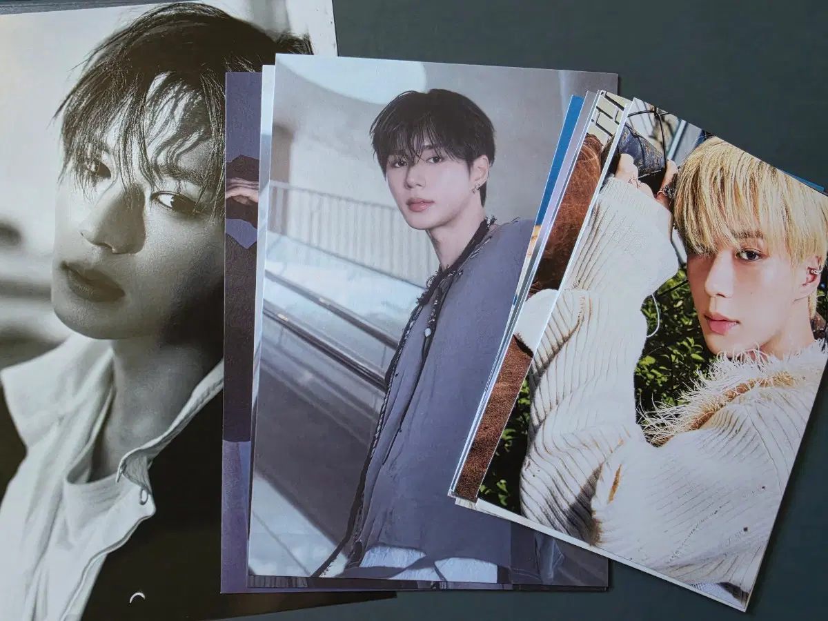 알파드라이브원 준서 Fragile Beast Ver.+Hissing Ver.+포카앨범 포토엽서 5종(16종 세트) 김준서 포토 엽서 세트