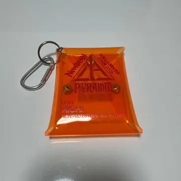 Novelbright PYRAMID 아이치 공연 클리어 파우치