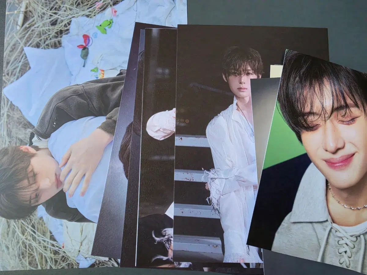 알파드라이브원 상현 Cementic Nest ver.+Hissing Ver.+포카앨범 포토엽서 5종(16종 세트) 정상현 포토 엽서 세트