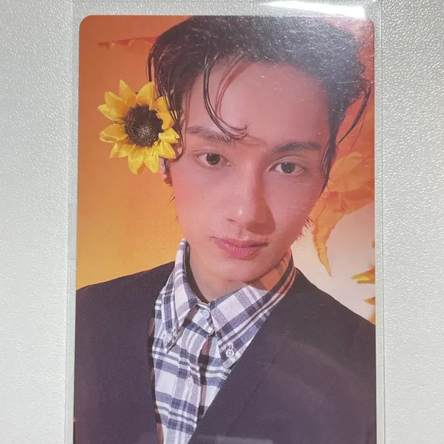 세븐틴 준 라잇히어 포카