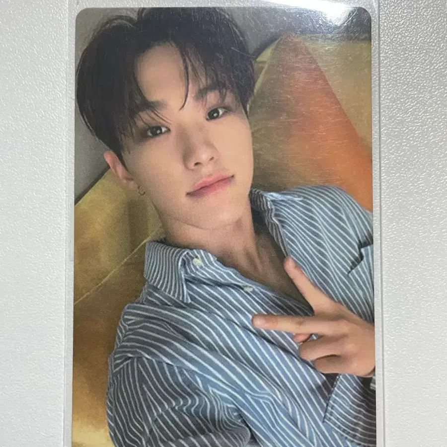 세븐틴 호시 언오드 포카