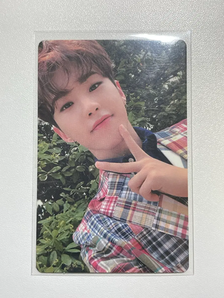 세븐틴 호시 언오드 포카