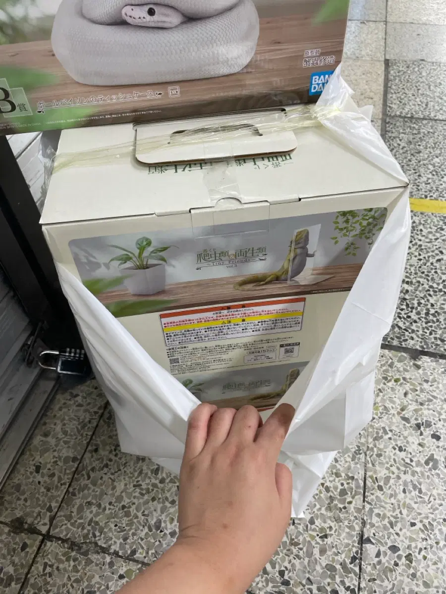 미개봉 현물 파충류 제일복권 A상 북스탠드 이치방쿠지