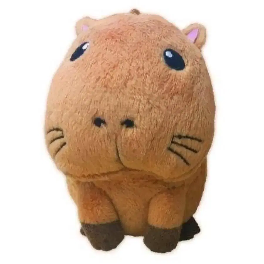 엔시티위시 리쿠 닮은 카피바라 인형