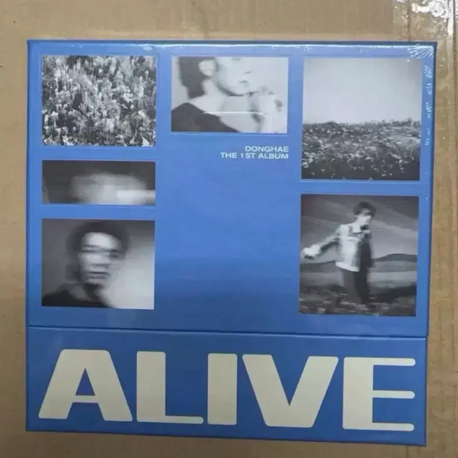 슈퍼주니어 동해 솔로 alive 미개봉 앨범양도