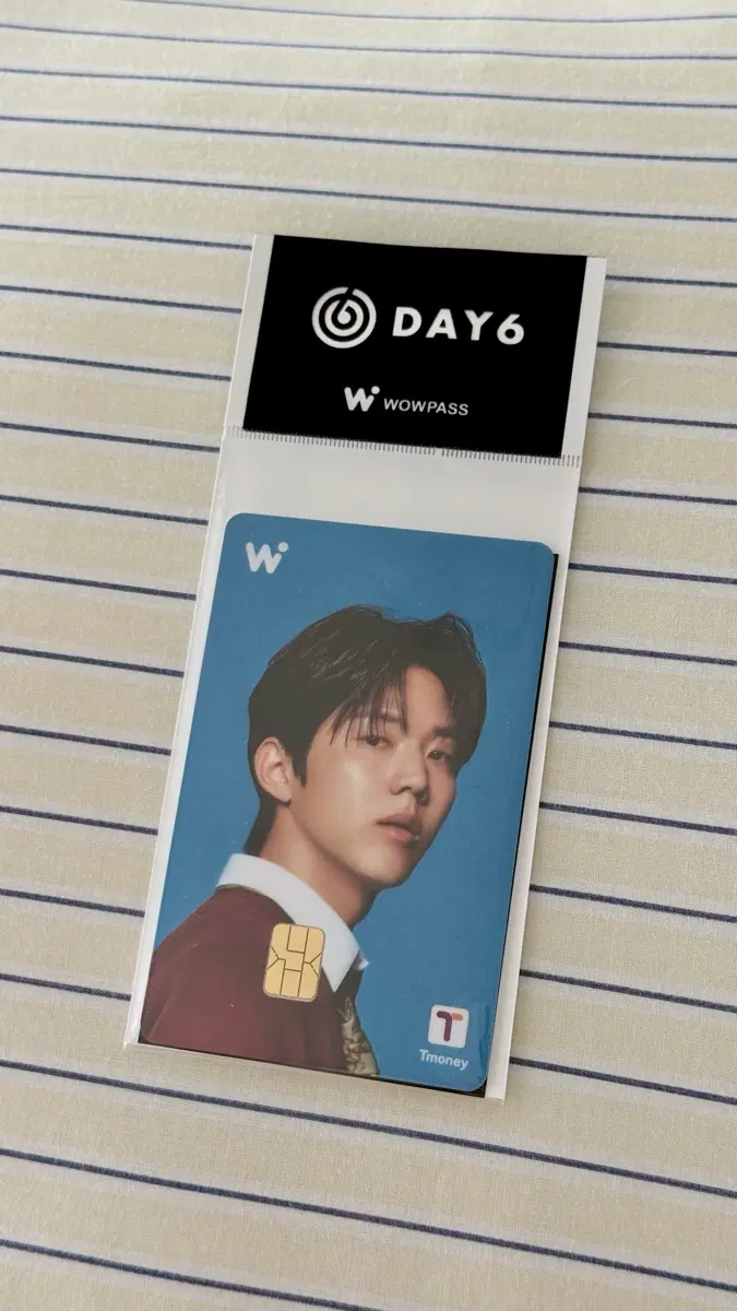 미개봉)데이식스 와우패스wowpass 티머니 교통카드 도운