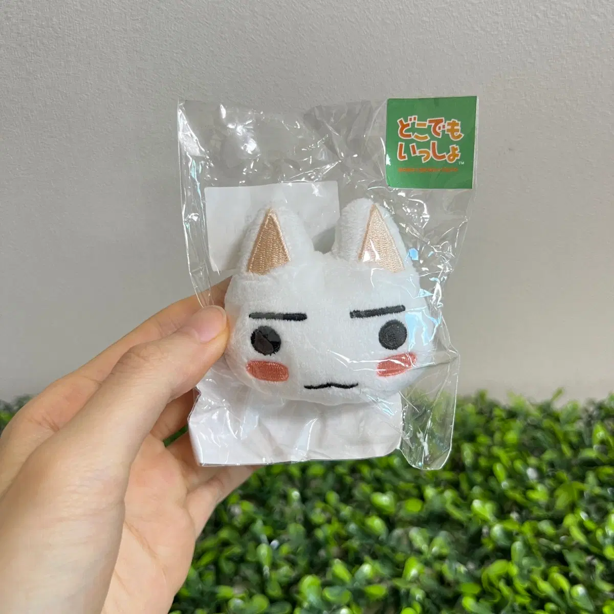 토로 뱃지 인형 도코데모잇쇼