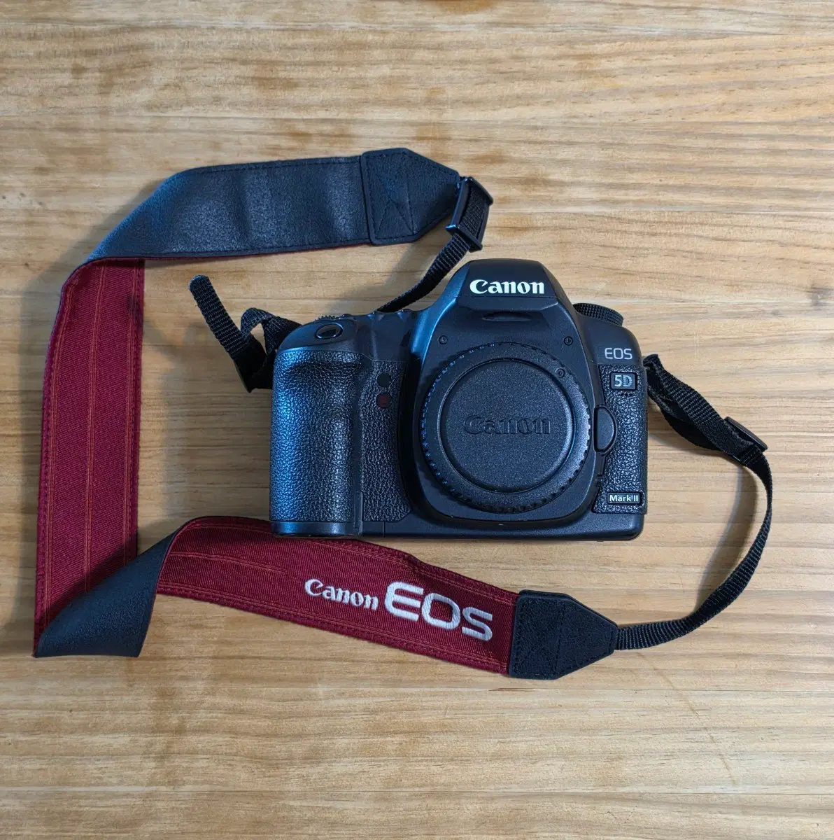 캐논 5d mark2 뷰파인더 내부 먼지 존재 15만컷