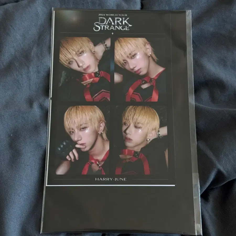 다크비 해리준 DARK STRANGE 콘서트 엠디 네컷 포토 세트