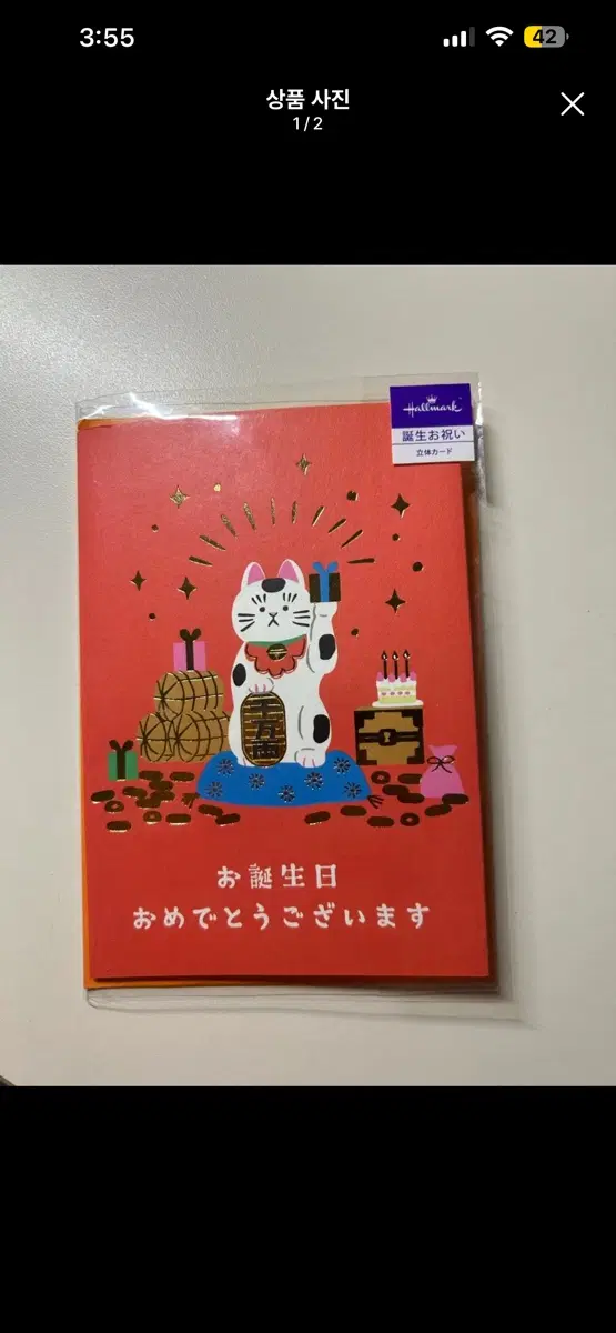 홀마크 생일 축하 카드 고양이