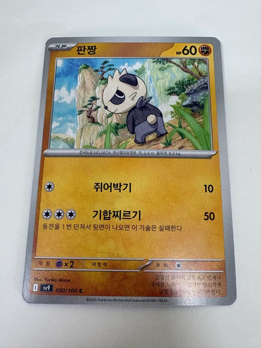 포켓몬 카드 판짱 050/100 C (한글판)