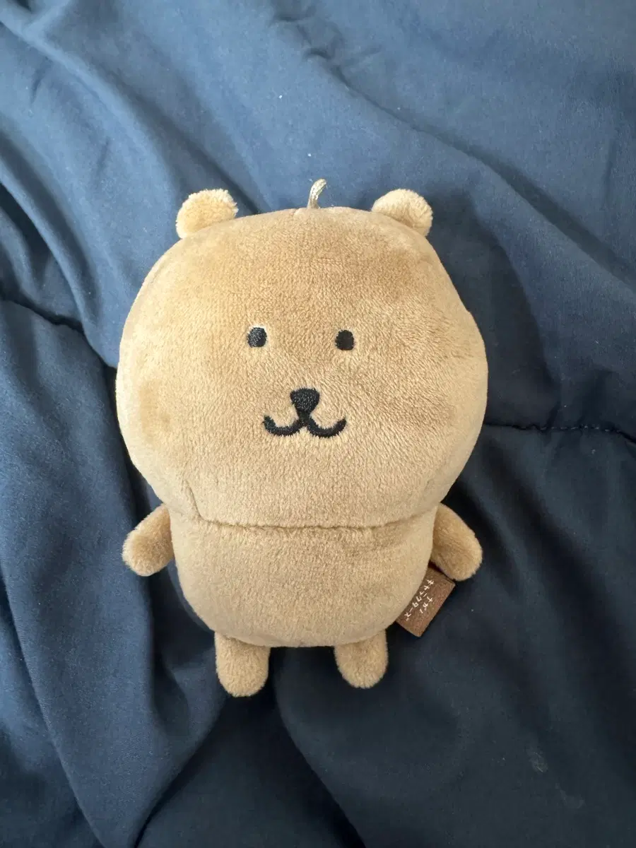 태닝 농담곰 정품