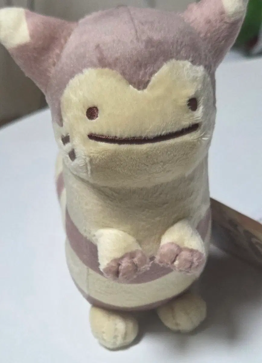 포켓몬 팝업 변신메타몽 다꼬리 인형 판매