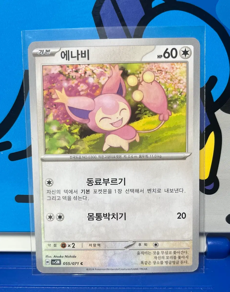 (포켓몬 카드) 에나비 055/071