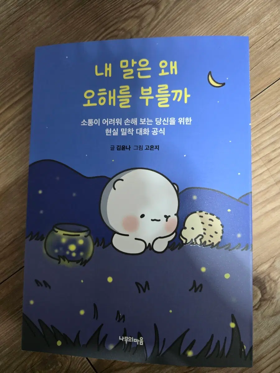 내 말은 왜 오해를 부를까 김윤나
