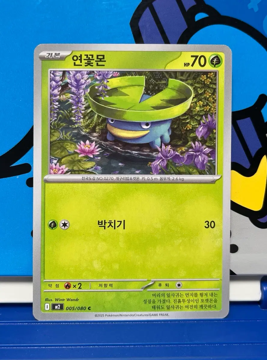 (포켓몬카드) 연꽃몬