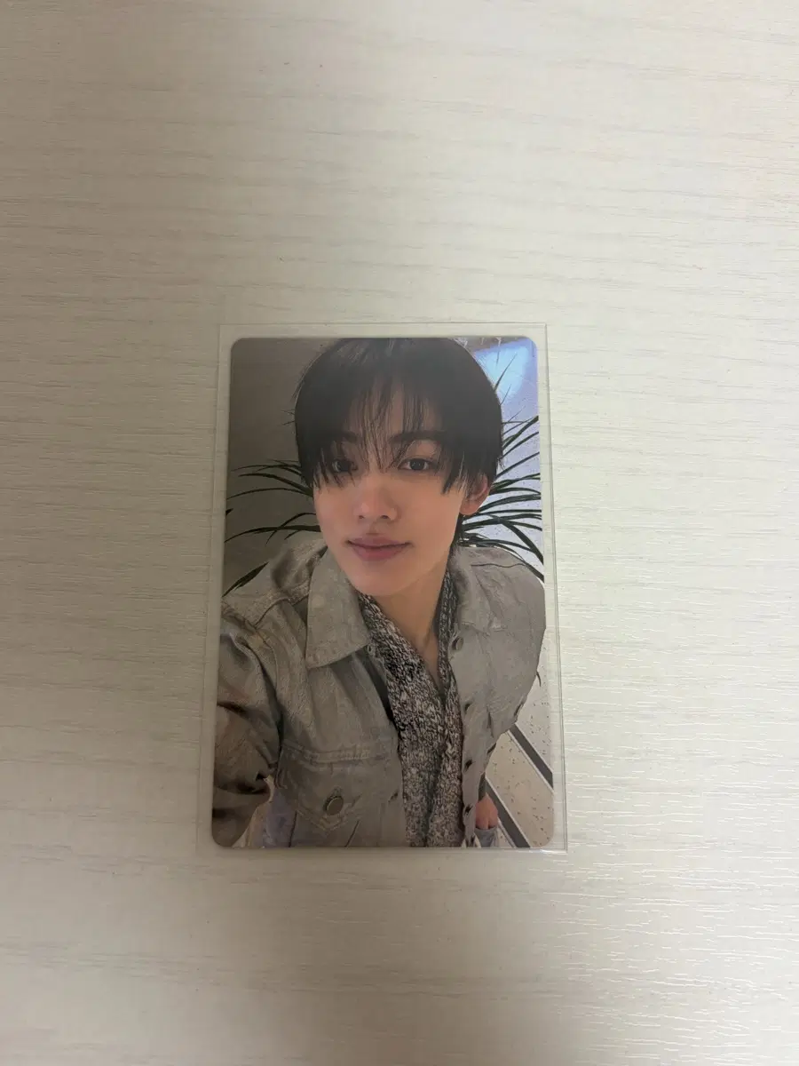 레드레드성현