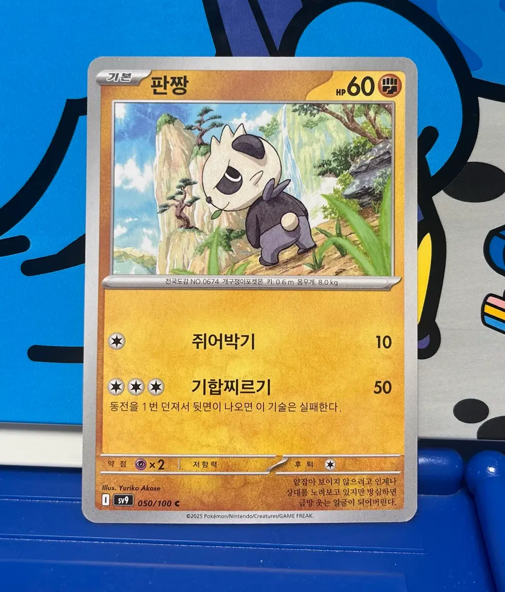 (포켓몬 카드) 판짱 050/100 C