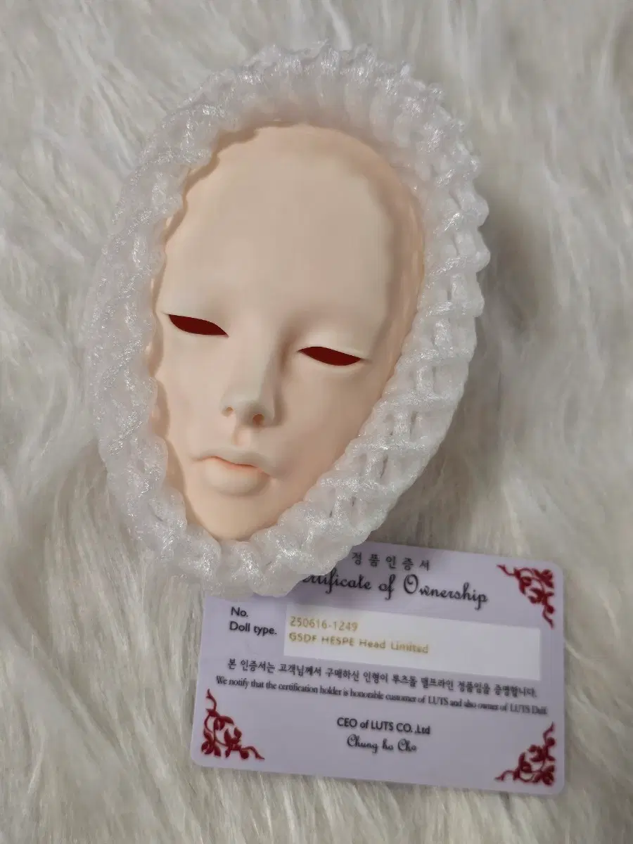 구체관절인형 루츠 헤스페 노멀헤드