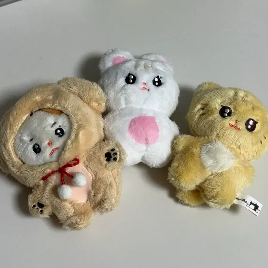 마마무 문별 인형 콩찌 햄끼 햄냐