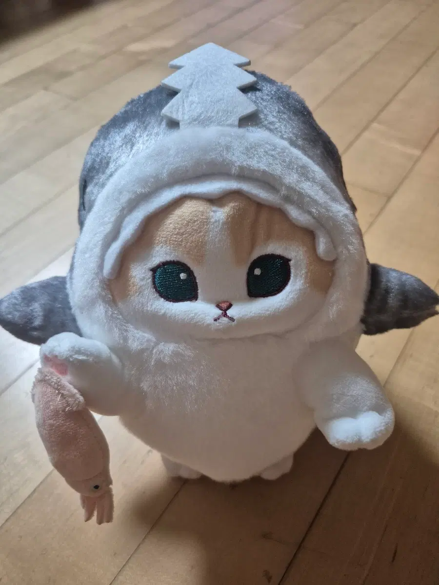 모프샌드 모후샌드 상어고양이