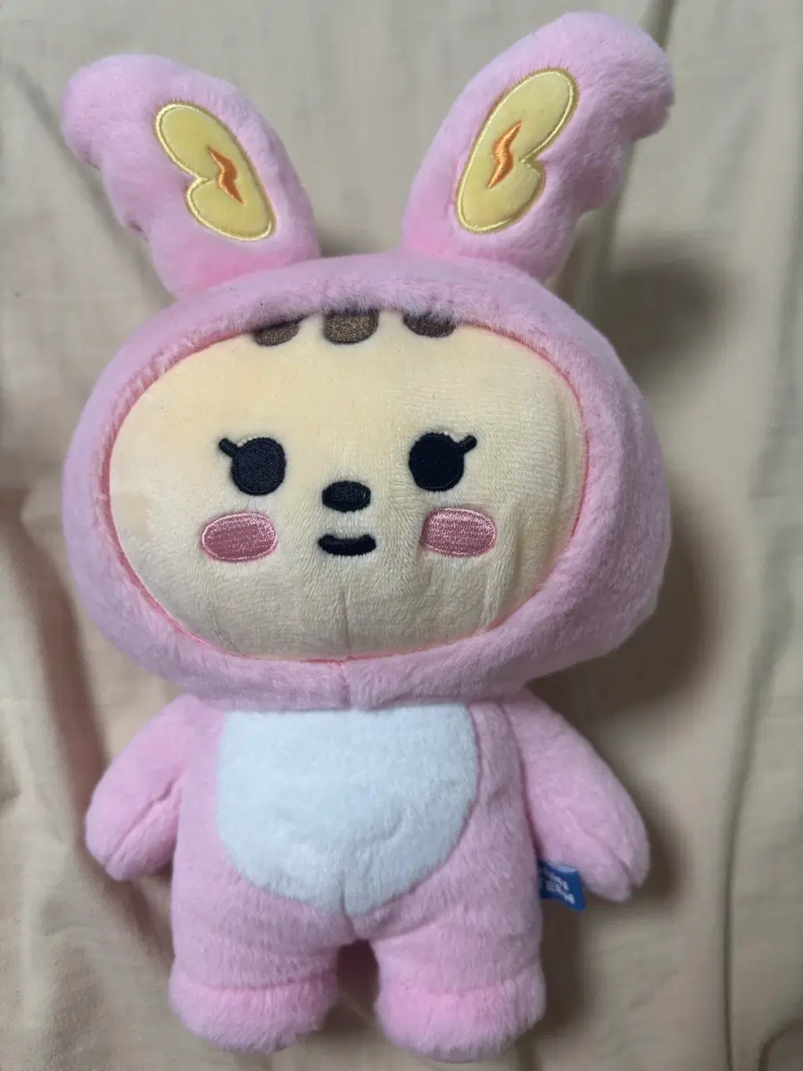 쫑토람 양도