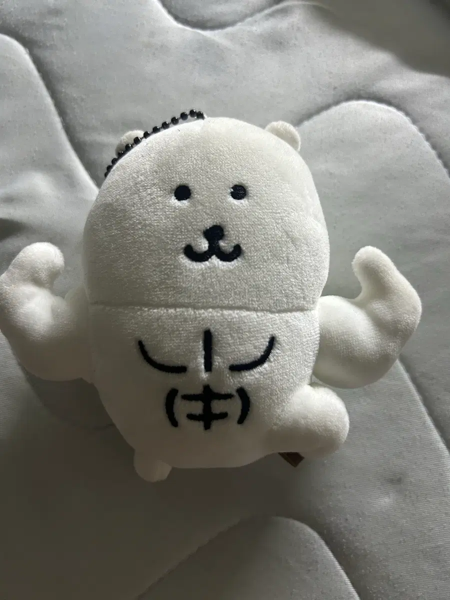 근육곰 근육 농담곰 농담곰 누이 근육농담곰 판매합니다