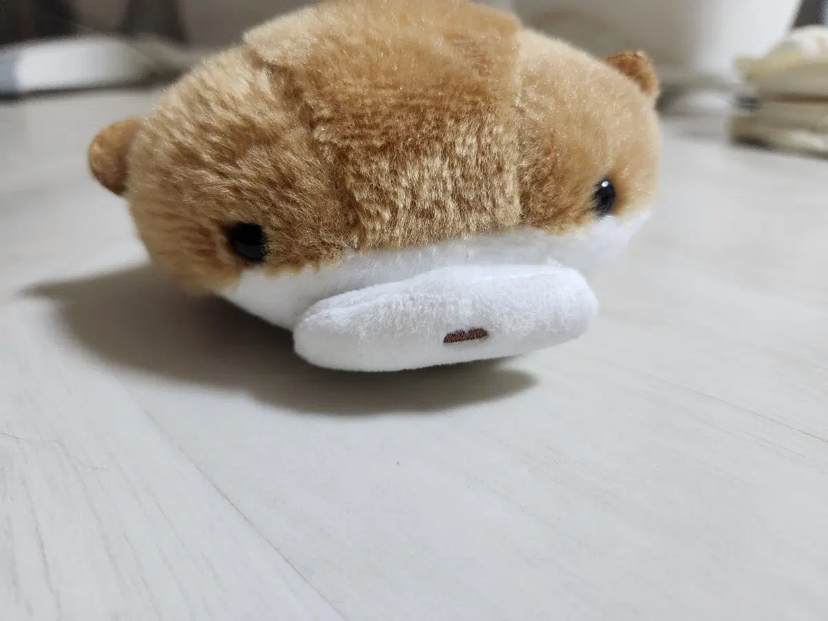 수달 필통