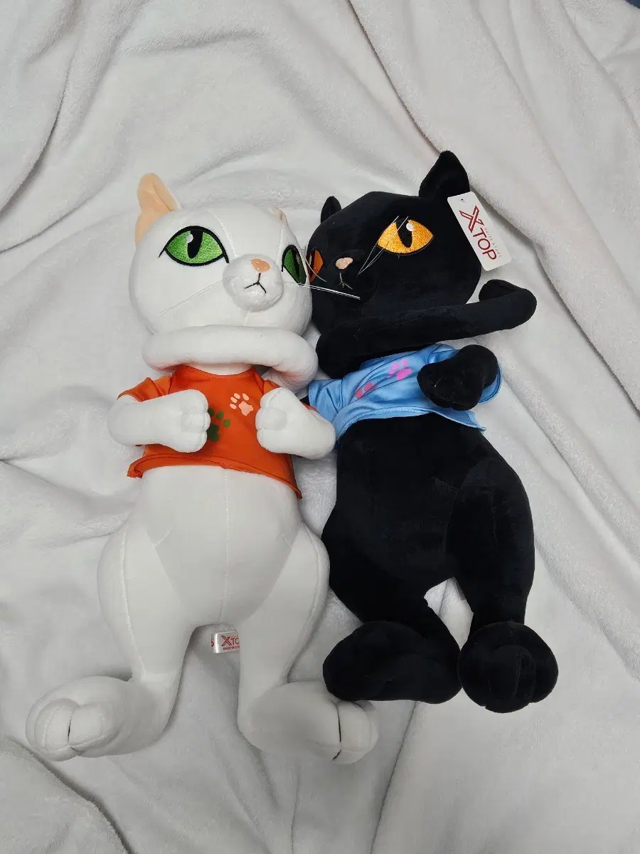 고양이 인형 2개 세트