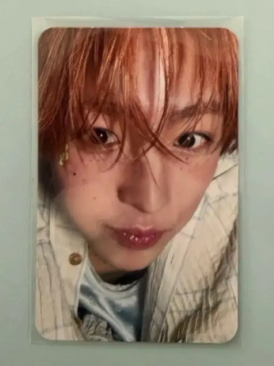 유우시 송버드 일본반포카