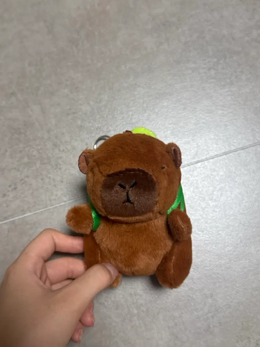 카피바라 거북이 키링