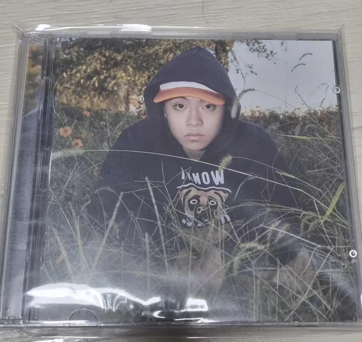 율음 정규 3집 CICADA 미개봉