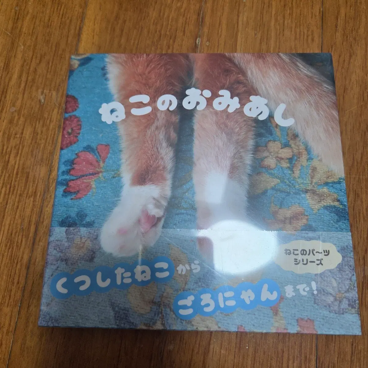 고양이 뒷발 사진집