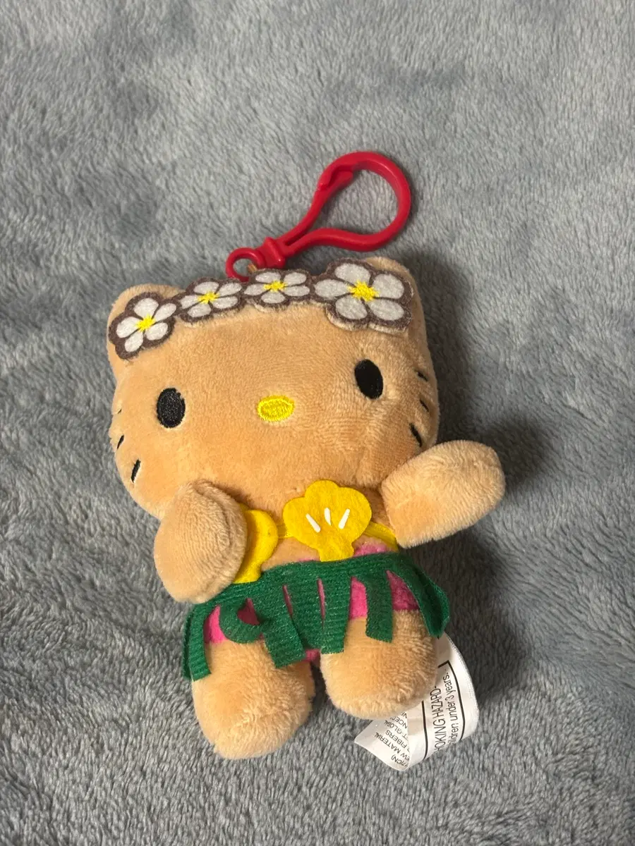사이판 괌키티 태닝키티 사이판키티