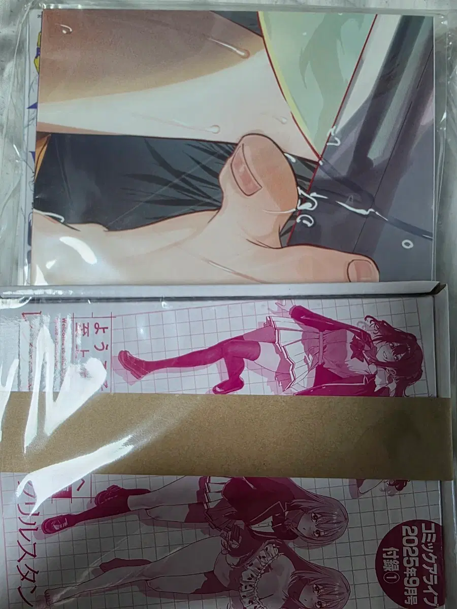 <어서 오세요. 실력지상주의 교실에>렌티큘러 스탠드&포스터 2종