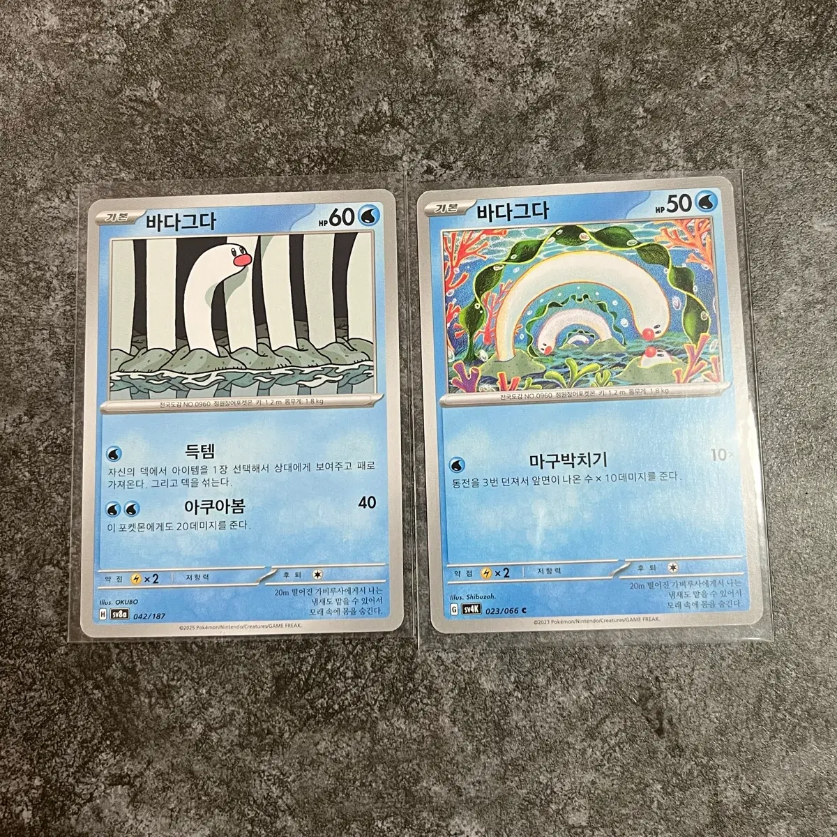 포켓몬카드 바다그다 c set 일괄