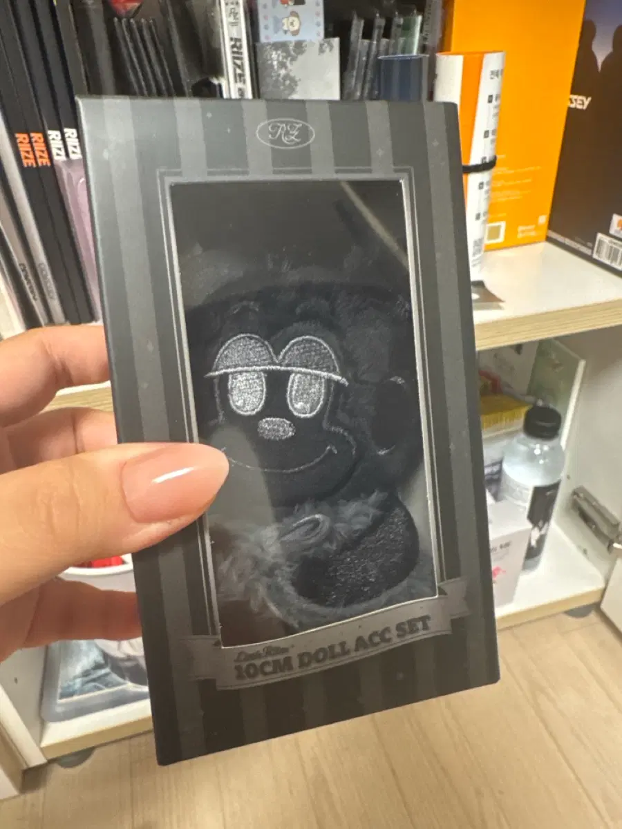 라이즈 리즈코인형