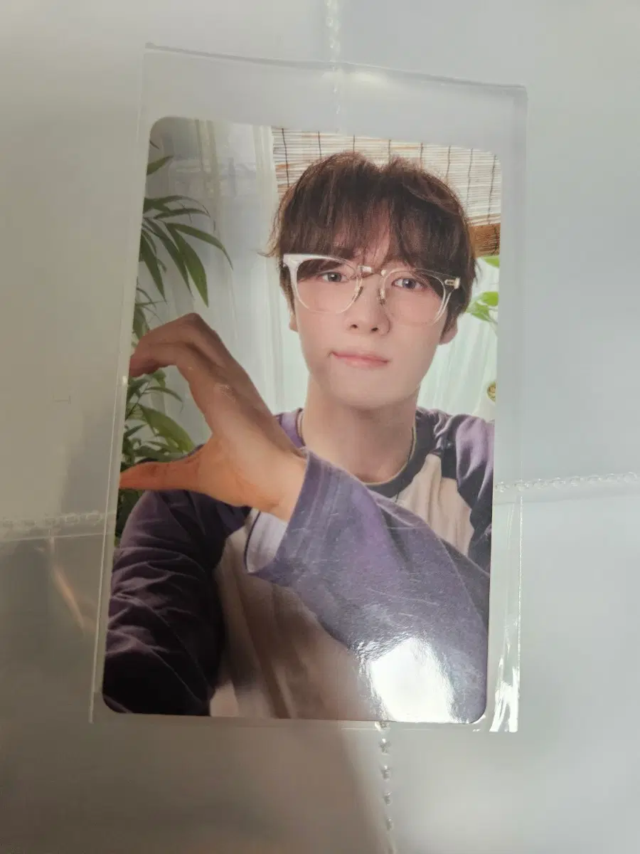 TWS 영재 sodasoda 포토카드