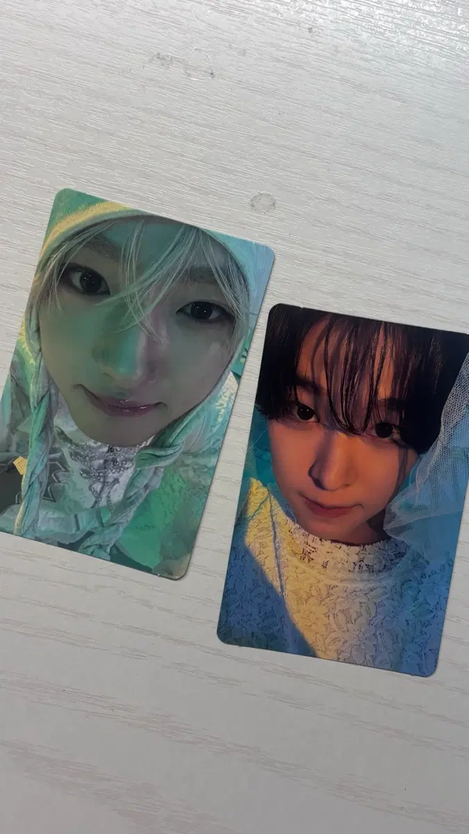 사쿠야 리쿠 포카 양도