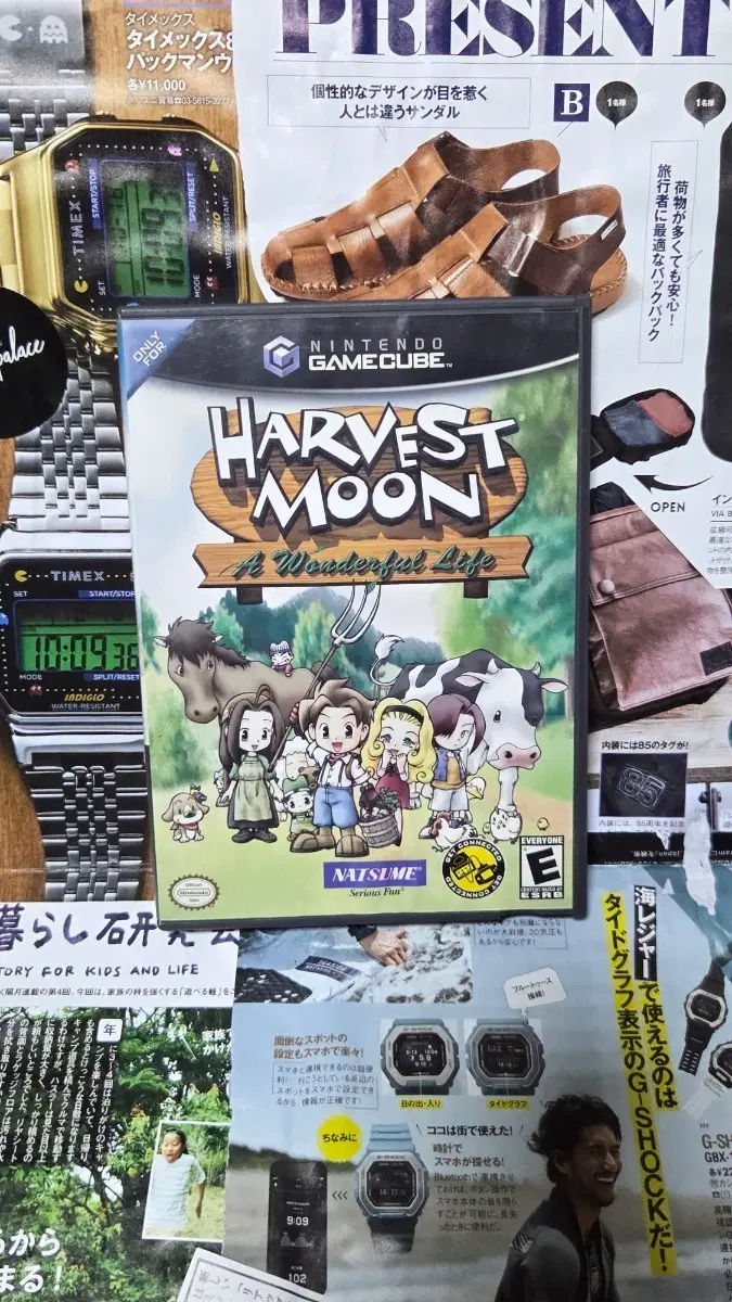 [초희귀] 닌텐도 게임큐브 하베스트문 Harvest Moon: A Wonderful Life 게임팩 ngc 게임카트리지