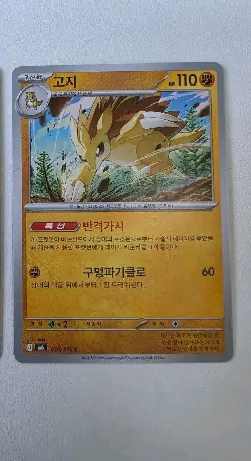 포켓몬카드 고지