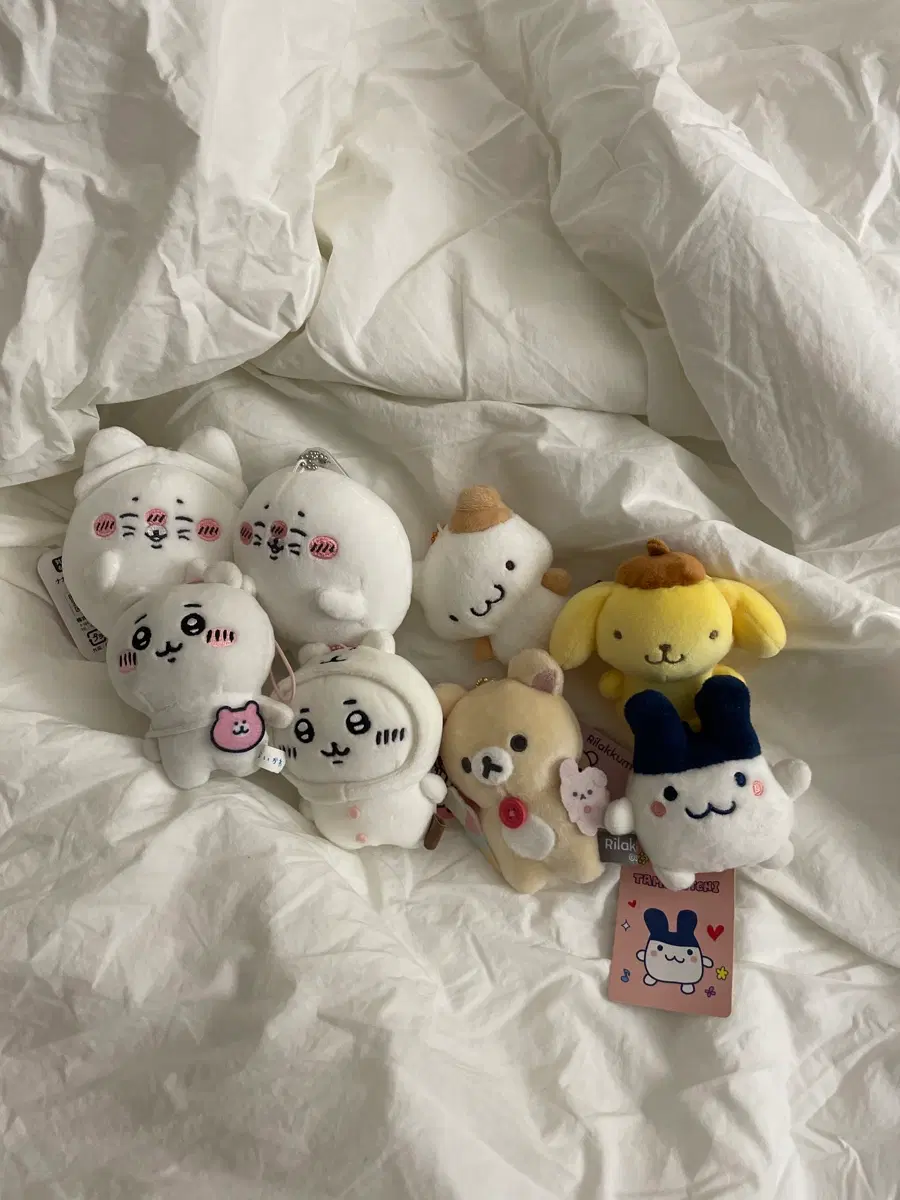 일괄 급처) 치이카와 산리오 고전 산엑스 머핀 물개 인형 우사기 코리락쿠마