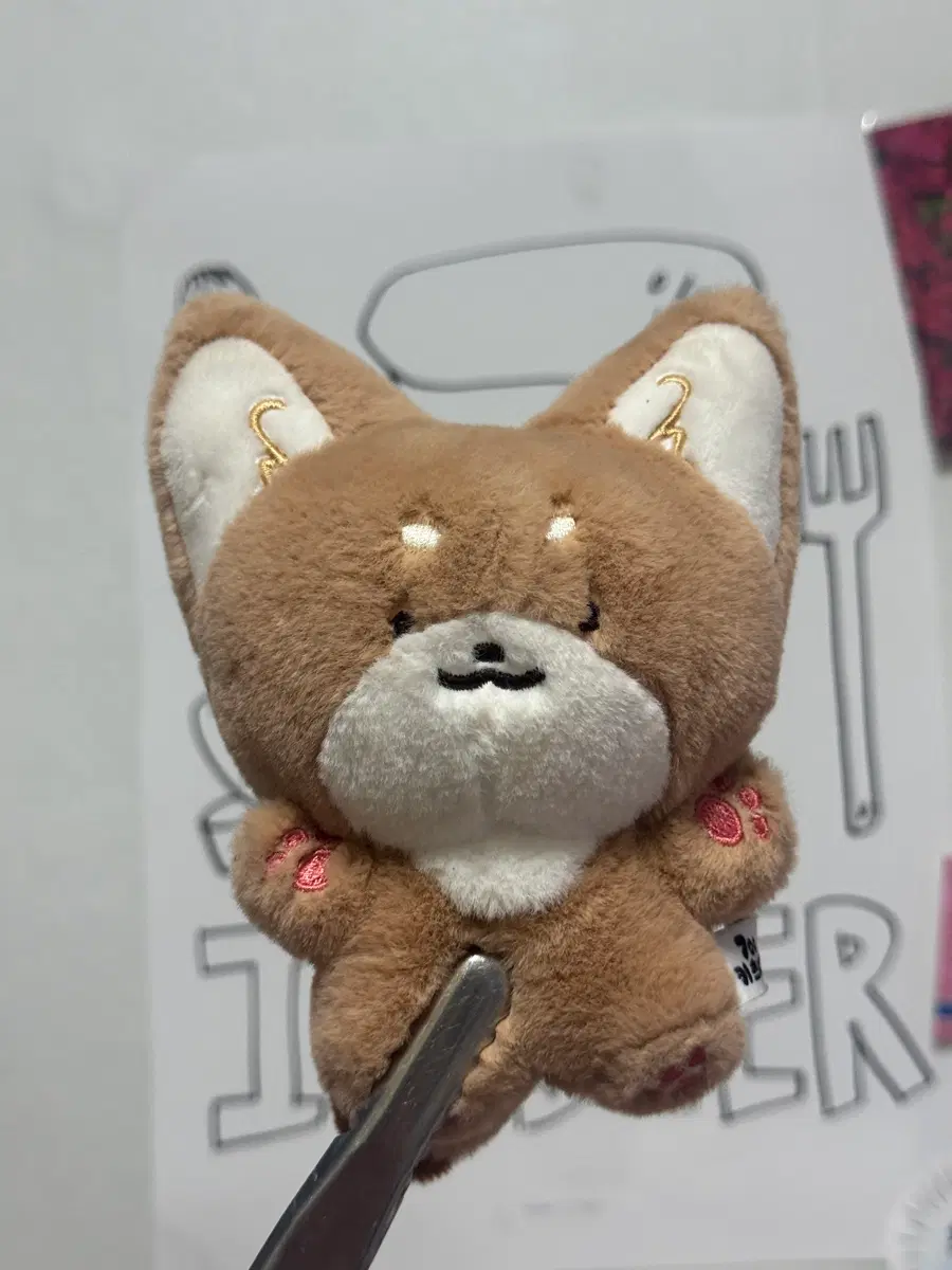 각 5000원