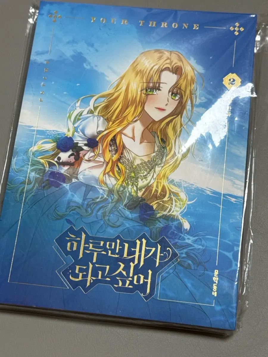하루만 네가 되고 싶어 2권