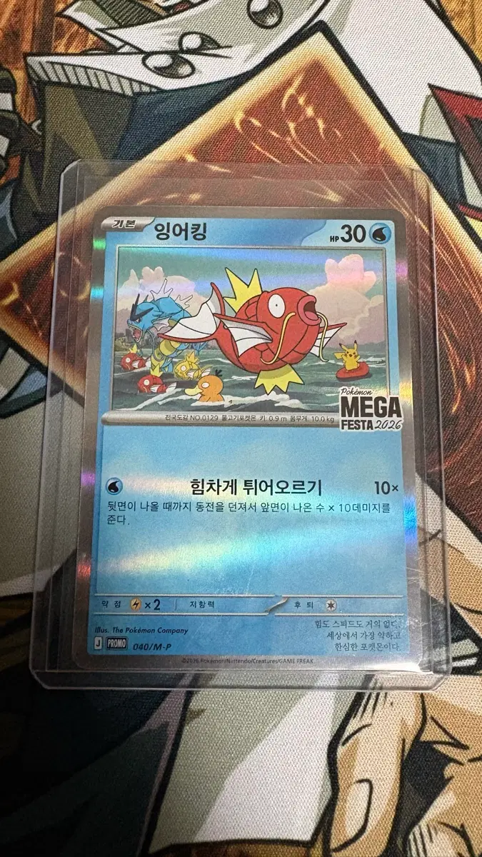 포켓몬카드 잉어킹 MEGA FESTA 2026 040/M-P