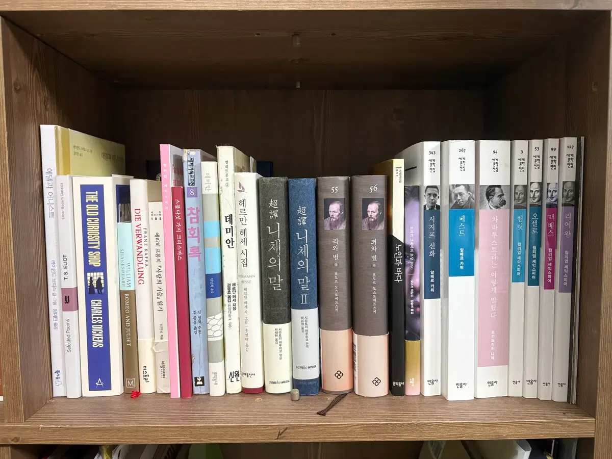 민음사(까뮈) & 고전 문학(셰익스피어, 니체,오스카 와일드,헤르만헤세 등) & 자기계발서