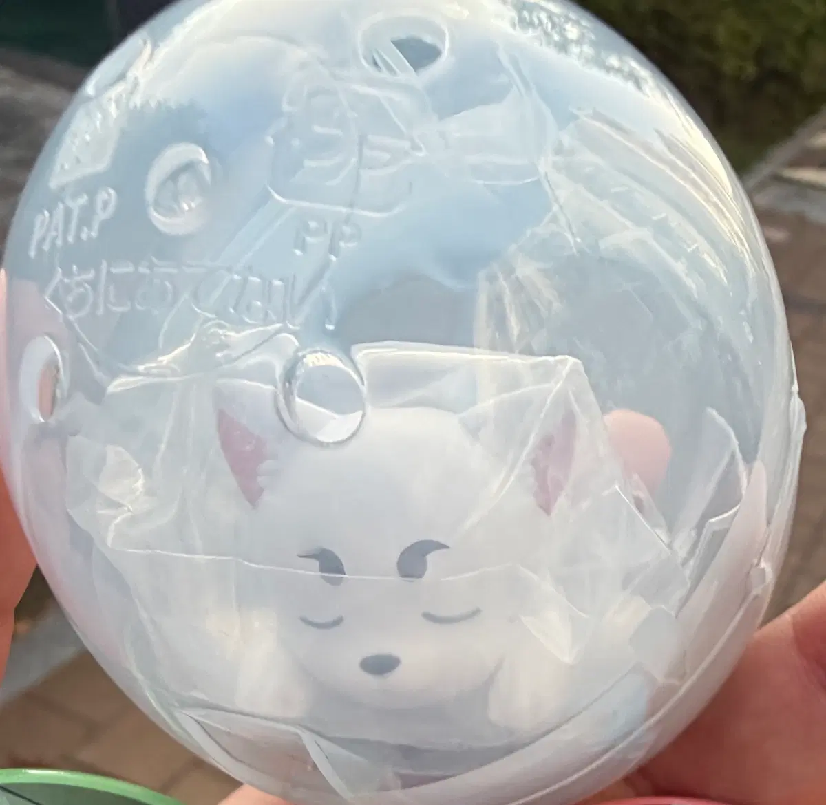 사다하루 네무라세타이? 팝니다