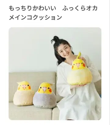 펠리시모 쫀득 귀여운 통통 오카메인코 쿠션 (시나몬 펄)